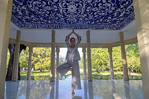 Ananda-Yoga-Small