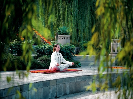 Ananda-Meditation_Courtesy-of-Ananda-in-the-Himalayas
