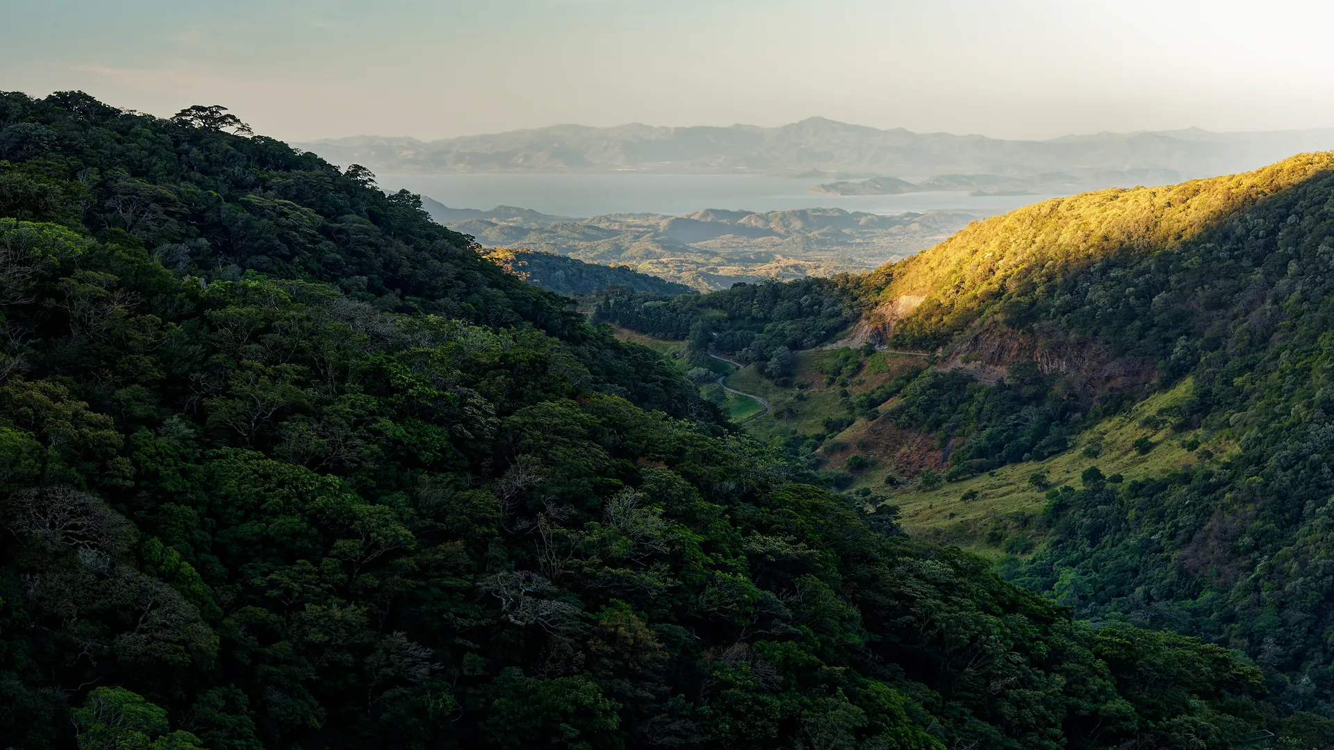Costa Rica-Monteverde-Aufmacher-GettyImages-global-2